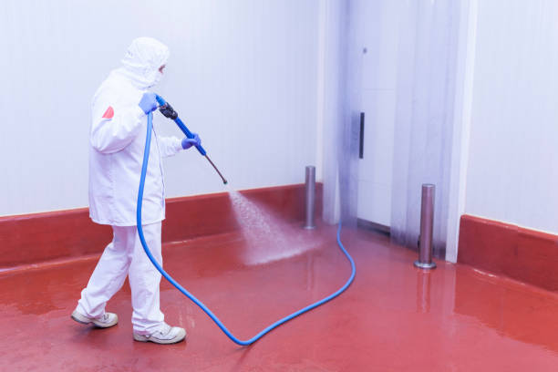 Best Machinery and Equipment Cleaning  in Roma, TX