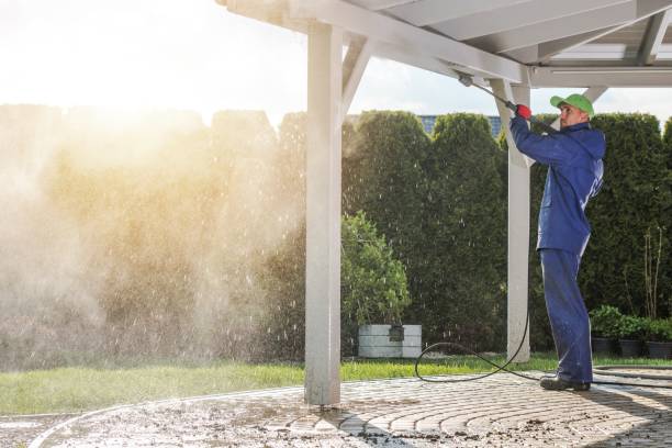 Best Building Exterior Washing  in Roma, TX