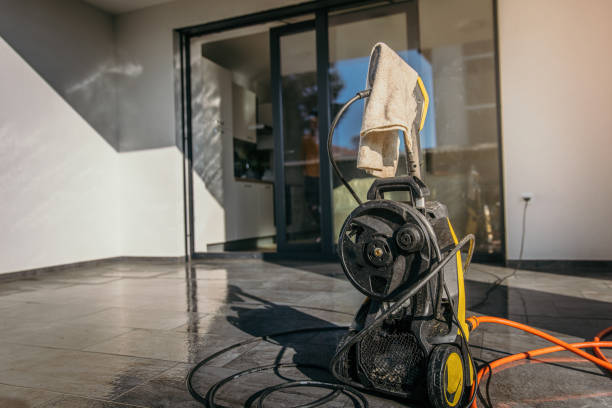 Best Animal Enclosure Cleaning  in Roma, TX